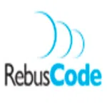 Rebuscode Information Solutions Private Limited