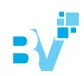 Bitvivid Solutions Private Limited