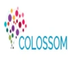 Colossom It Solutions Private Limited