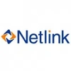 Netlink Solutions (India) Limited