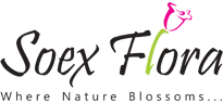 Soex Flora Private Limited