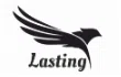 Lasting Software Private Limited