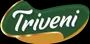 Triveni Impex Private Limited