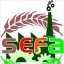 Sef Agrotherm Private Limited