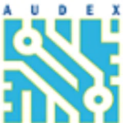 Audex Solutions And Technology Private Limited