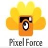 Pixel Force Private Limited