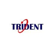 Trident Information Systems Private Limited