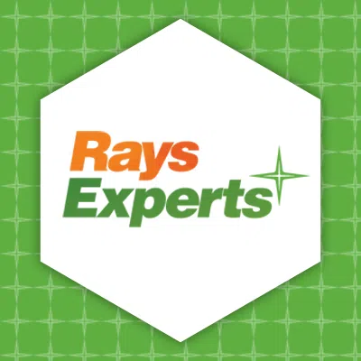 Rays Power Experts Private Limited