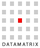 Datamatrix Infotech Private Limited