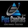 Pips Capitals Private Limited