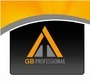 G B Professional Associates Private Limited