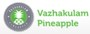 Vazhakulam Pineapple Growers And Processors Private Limited