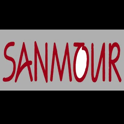 Sanmour Consulting Llp