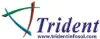 Trident Systech Private Limited