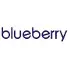 Blueberry Digital Labs Private Limited