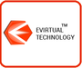 Evirtual It Services Private Limited