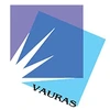 Vauras Biztech Llp