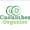 Cucumber Organics Llp