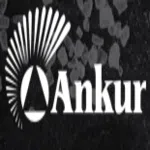 Ankur Chemfood Limited