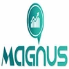 MAGNUS CAPITAL SERVICES LLP image