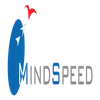 Mind Speed Integrated Solutions Private Limited