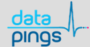 Datapings Software Private Limited