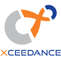 Xceedance Consulting India Private Limited
