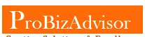 Probizadvisor And Business Excellence Ll P