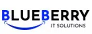 Blueberry It Solutions Consulting Llp