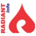 Radiant Info Systems Private Limited