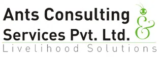 Ants Consulting & Services Private Limited