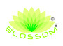 Blossom Grocery & Foods India Private Limited