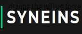 Syneins Enterprise Systems Private Limited