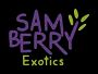 Samberry Exotics Private Limited