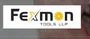 FEXMON TOOLS LLP