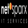 Netsparx It Services (India) Private Limited image