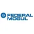 Federal - Mogul Ignition Products India Limited