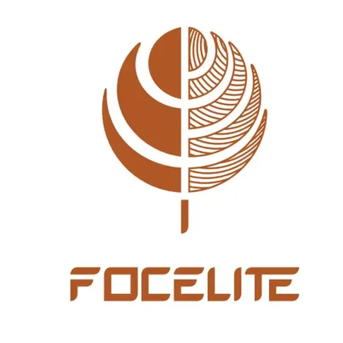 Focelite Goodness India Private Limited