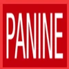 Panine Ev Networks Llp