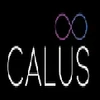 CALUS INNOVATIONS LLP image