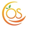 Orangeskill Technologies Private Limited