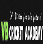 Vb Cricket Academy Private Limited