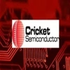 Cricket Semiconductor Private Limited