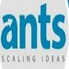 Ants Digital Private Limited