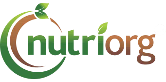 Nutriorg Retail Private Limited