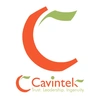 Cavintek Software Private Limited