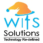 Wits Solutions Private Limited