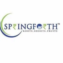 Springforth Wealth Advisors Private Limited