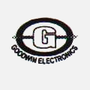 Goodwin Electronics Private Limited