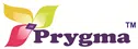 Prygma Information Systems Llp